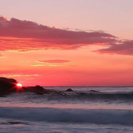 Seadreams, Maroubra Daire Sidney Dış mekan fotoğraf